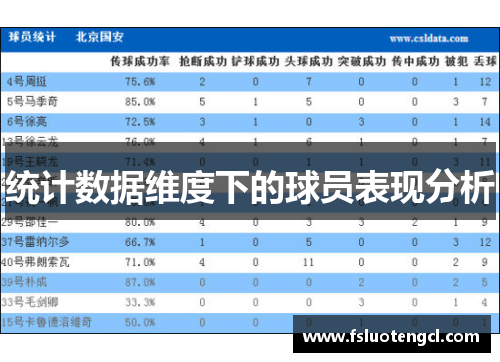统计数据维度下的球员表现分析